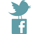 reseau sociaux reseau sociaux