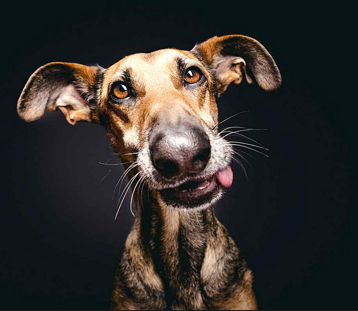 Exposition Woof Elke Vogelsang